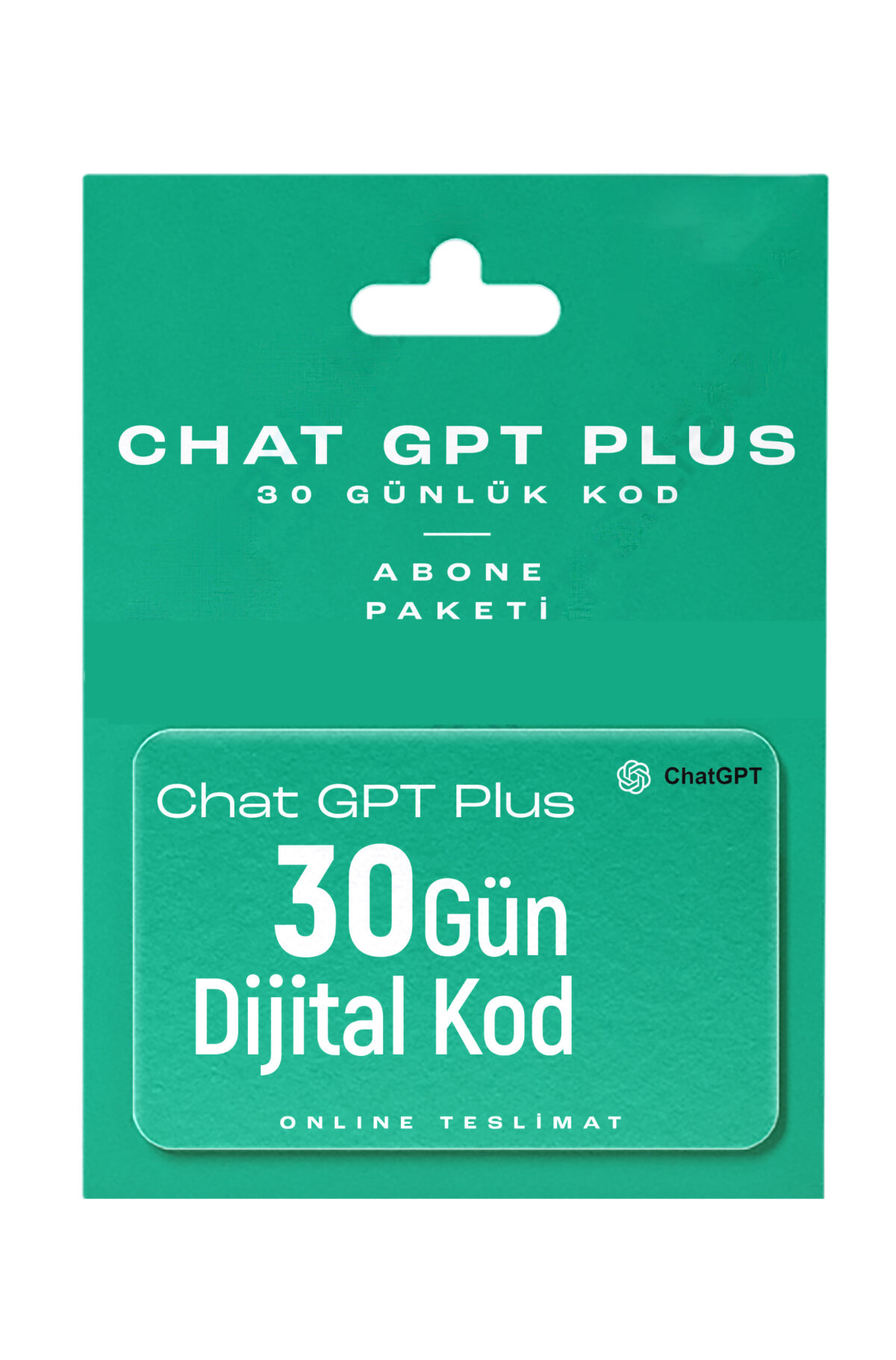 ChatGPT Plus ( 30 Gün ) - Görsel 1