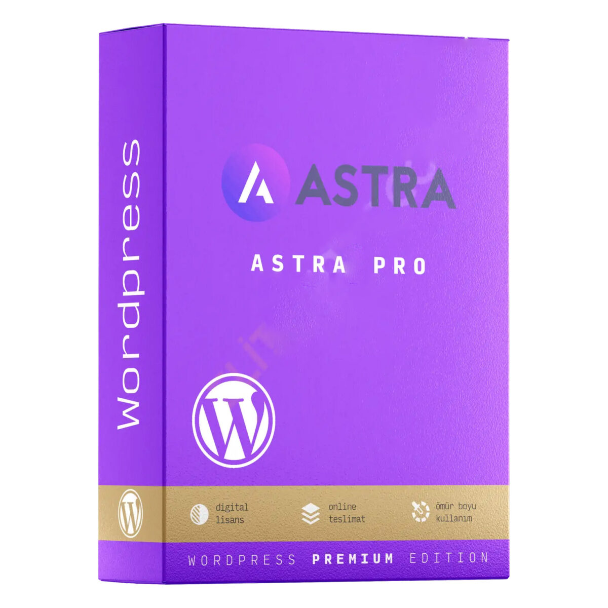 Astra Pro – WordPress Teması - Görsel 1