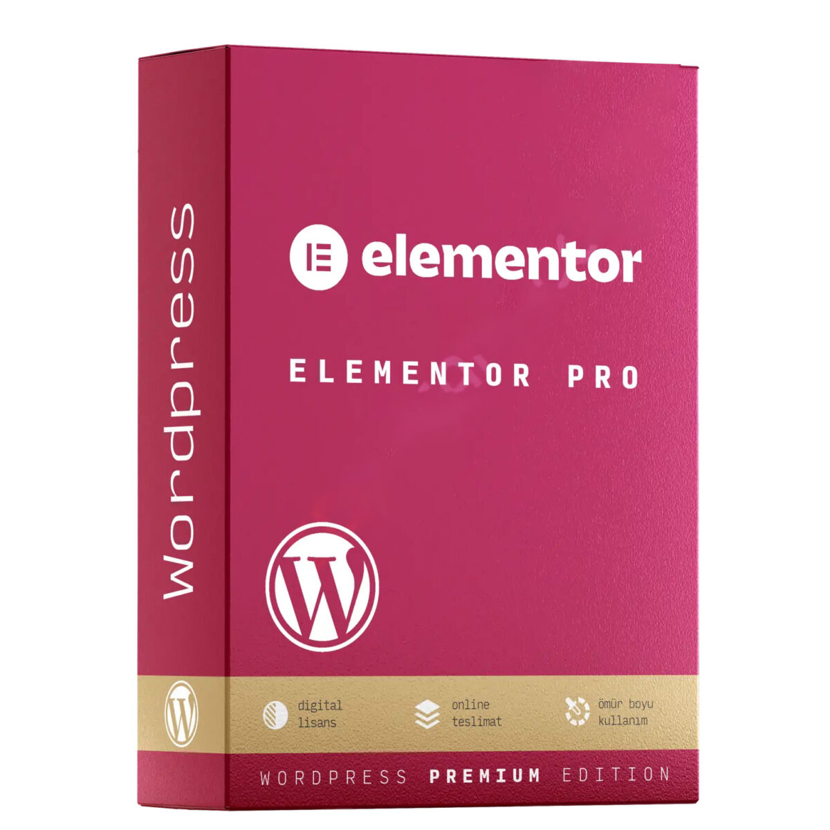 Elementor Pro – WordPress Eklentisi - Görsel 1