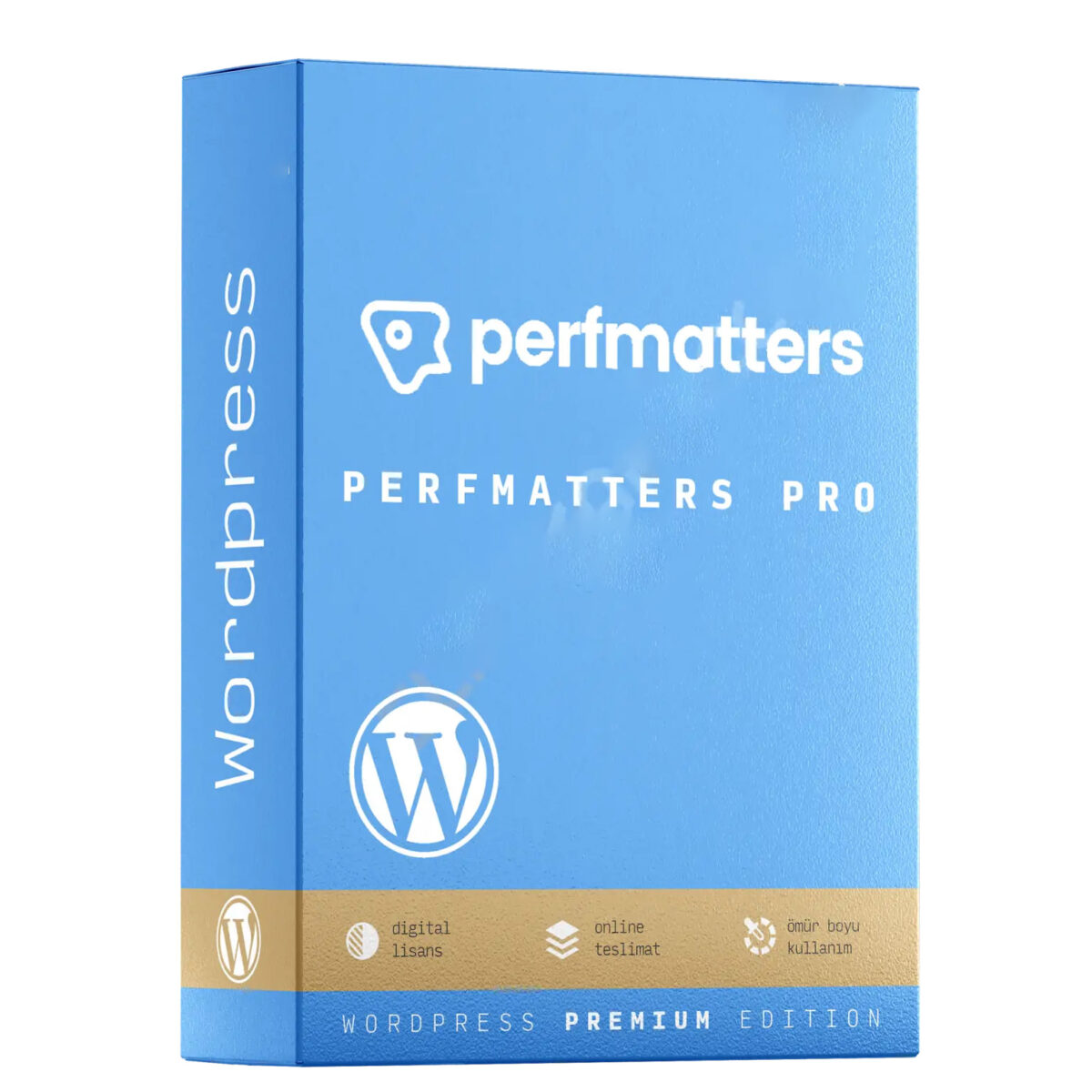 wordpress-perfmatters-pro PerfMatters Pro – WordPress Eklentisi - Görsel 1