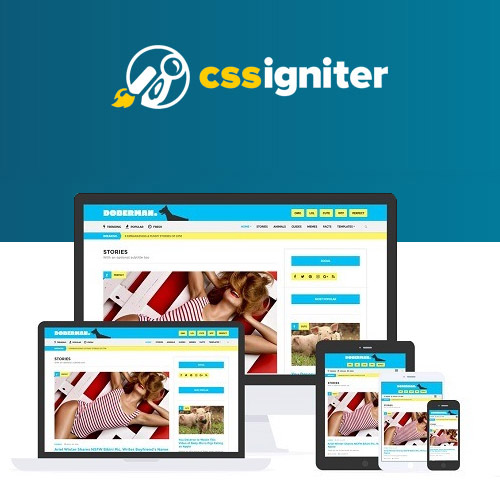 CSS Igniter Doberman WordPress Theme CSS Igniter Doberman WordPress Theme - Görsel 1