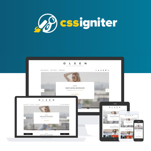 CSS Igniter Olsen WordPress Theme CSS Igniter Olsen WordPress Theme - Görsel 1