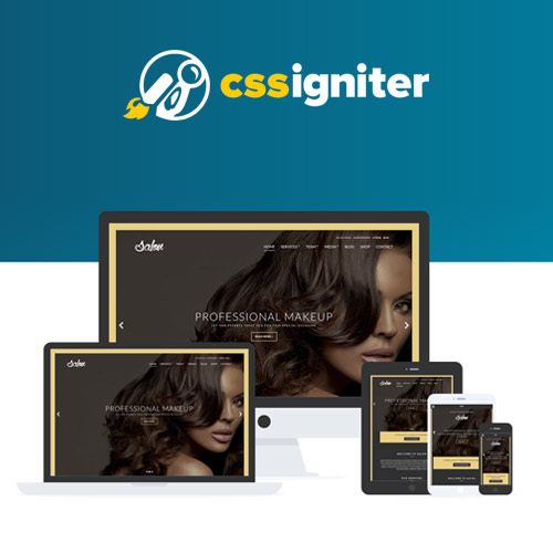 CSS Igniter Salon WordPress Theme CSS Igniter Salon WordPress Theme - Görsel 1