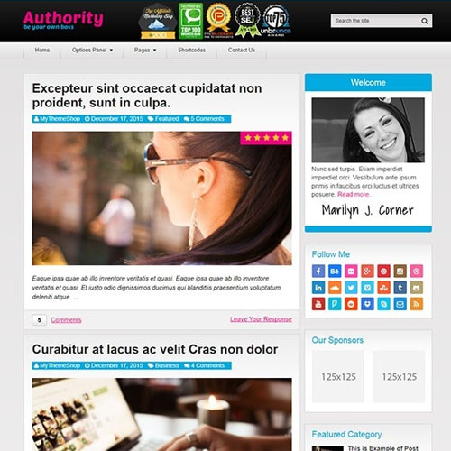 MyThemeShop Authority WordPress Theme MyThemeShop Authority WordPress Theme - Görsel 1