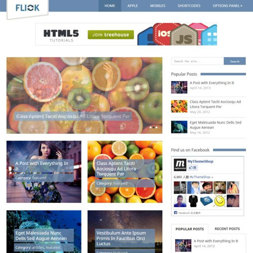 MyThemeShop Flick WordPress Theme MyThemeShop Flick WordPress Theme - Görsel 1