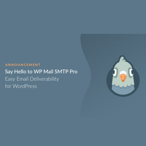 WP Mail SMTP Pro WP Mail SMTP Pro - Görsel 1