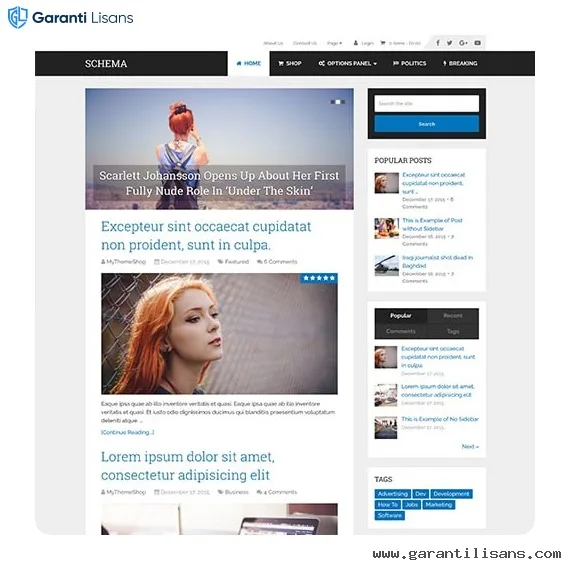 MyThemeShop Schema WordPress Theme