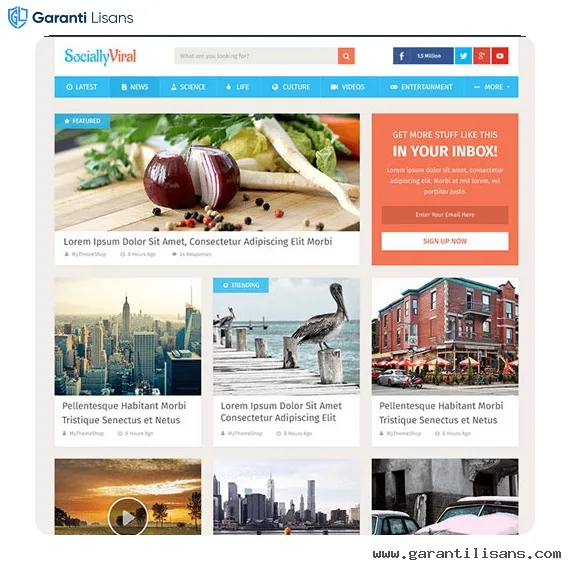 MyThemeShop SociallyViral WordPress Theme