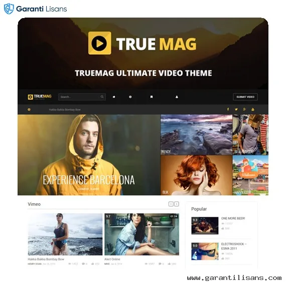 True Mag – WordPress Theme for Video and Magazine