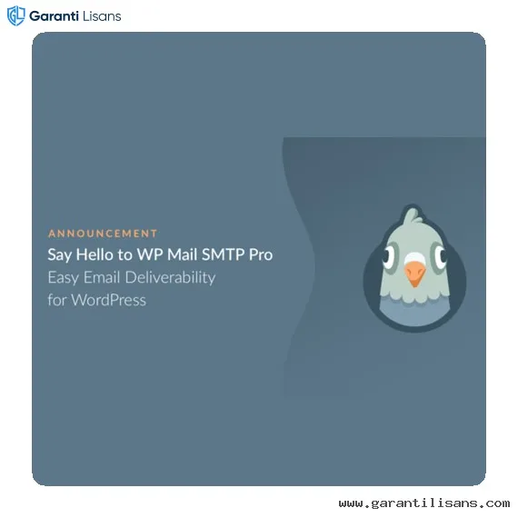 WP Mail SMTP Pro