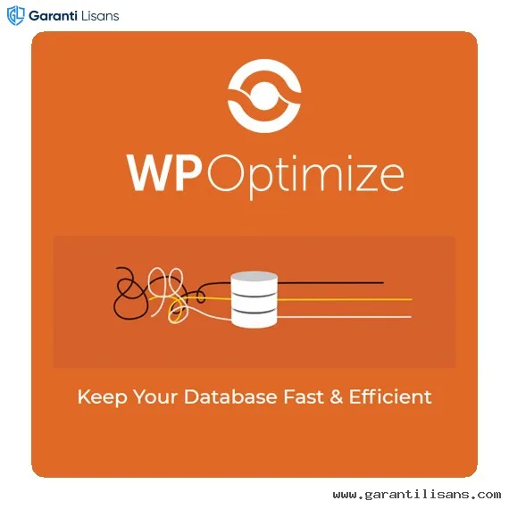 WP-Optimize Premium