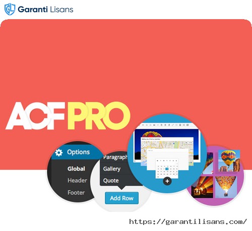 Advanced Custom Fields (ACF) Pro