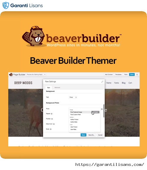 Beaver Builder Themer