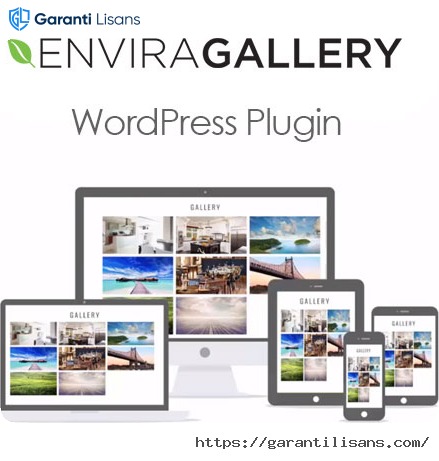 Envira Gallery WordPress Plugin