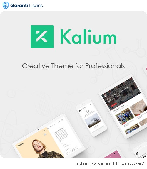 Kalium – Creative Theme for Professionals