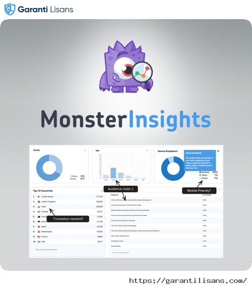 MonsterInsights Pro Google Analytics Premium