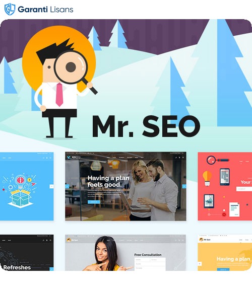 Mr. SEO – SEO, Marketing Agency and Social Media Theme