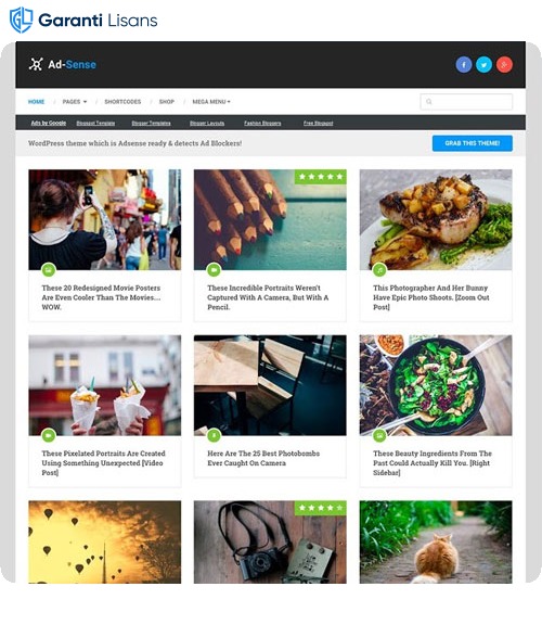 MyThemeShop Ad-Sense WordPress Theme