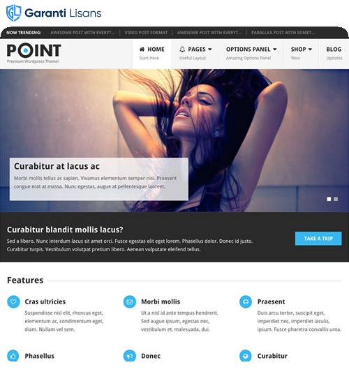 MyThemeShop Point Pro WordPress Theme