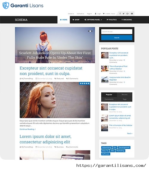 MyThemeShop Schema WordPress Theme