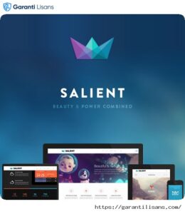 Salient – Responsive Multi-Purpose Theme