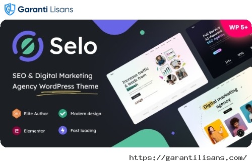 Selo – SEO & Digital Marketing Agency WordPress Theme