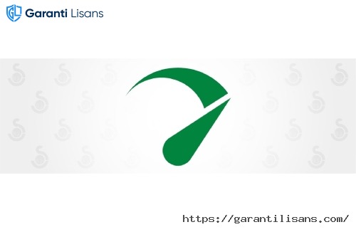 Seraphinite Accelerator Extended