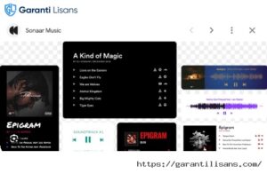 Sonaar MP3 Music Player PRO