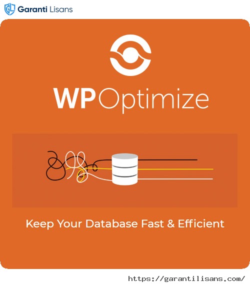WP-Optimize Premium