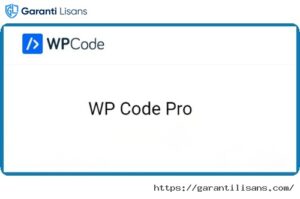 WPCode Pro – The Best WordPress Code Snippets Plugin