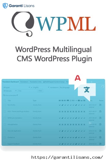 WordPress Multilingual CMS WordPress Plugin