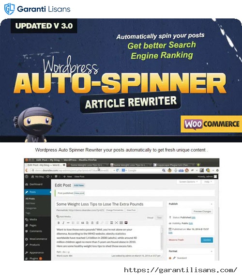 WordPress Auto Spinner – Articles Rewriter