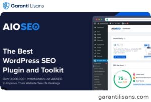 AIOSEO IndexNow