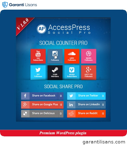AccessPress Social Pro