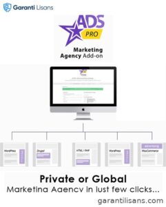 Ads Pro Add-on – WordPress Marketing Agency