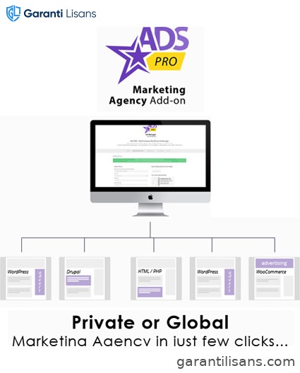 Ads Pro Add-on – WordPress Marketing Agency