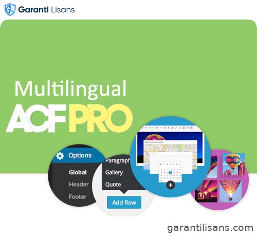 Advanced Custom Fields Multilingual