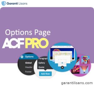 Advanced Custom Fields Options Page Addon
