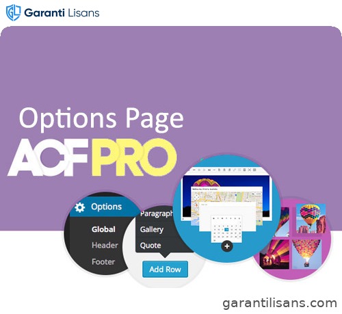 Advanced Custom Fields Options Page Addon