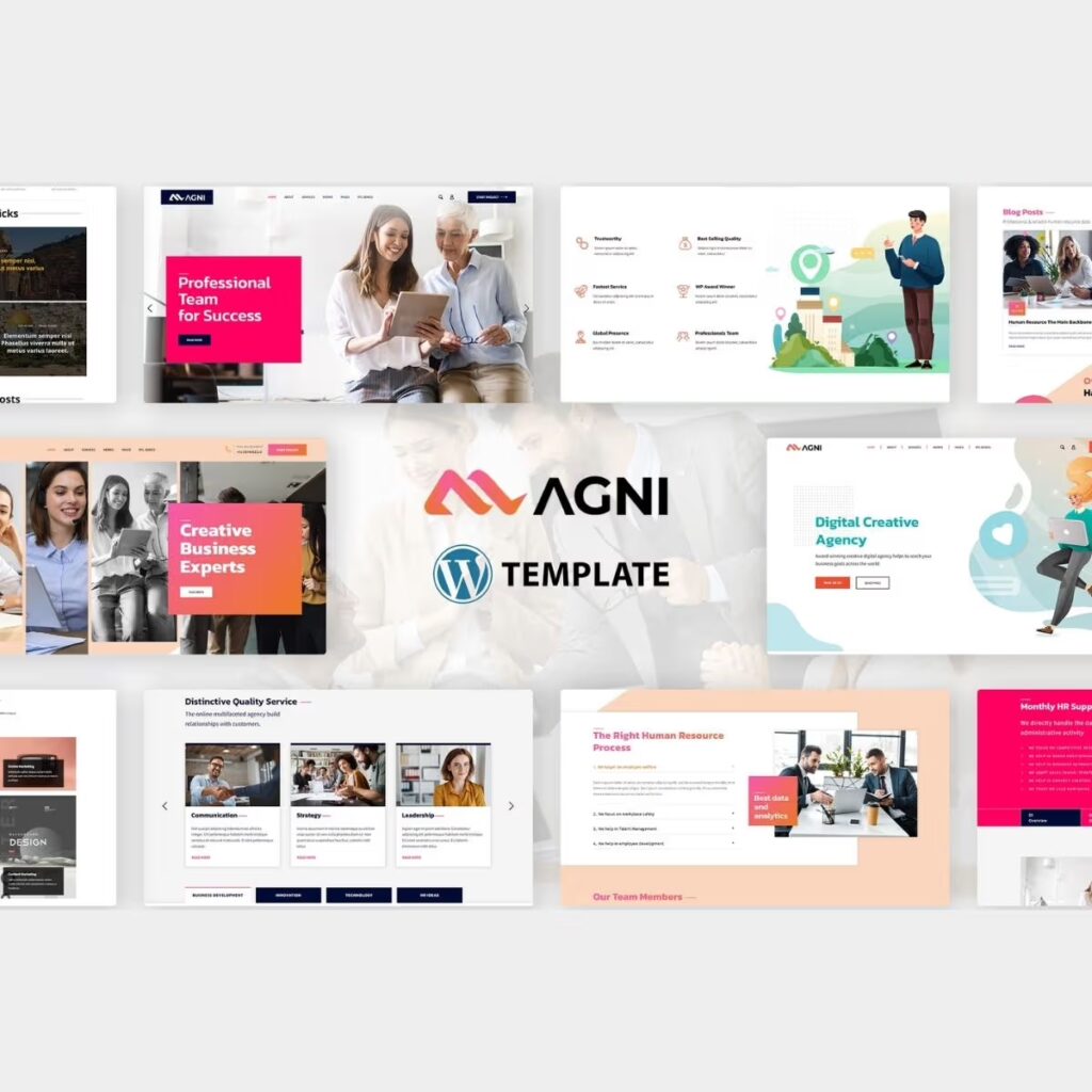 Agni – Consulting Business