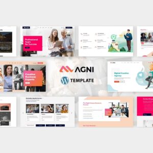 Agni – Consulting Business