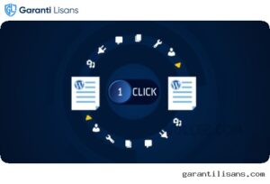 All-in-One WP Migration Unlimited Extension
