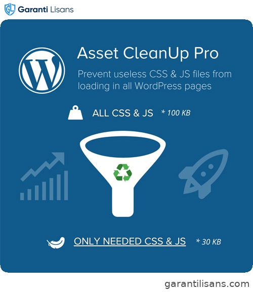 Asset CleanUp Page Speed Booster PRO