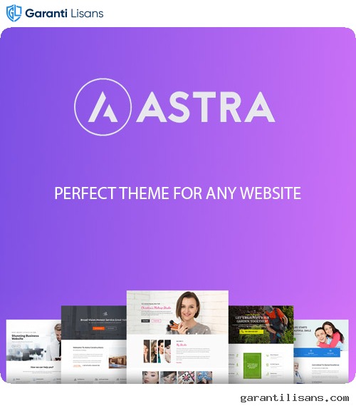 Astra WordPress Theme