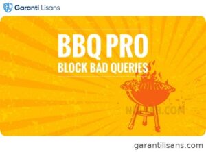 BBQ Pro – WordPress Security Plugin