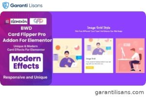 BWD Card Flipper Pro Addon For Elementor