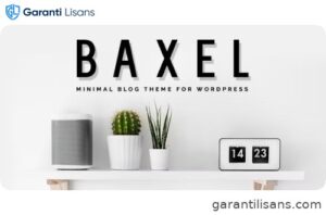 Baxel – Minimal Blog Theme for WordPress