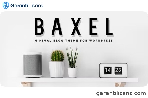 Baxel – Minimal Blog Theme for WordPress