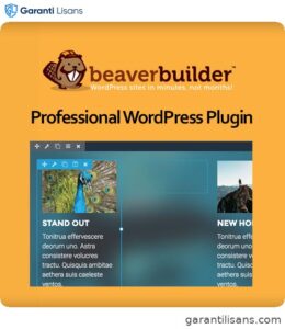 Beaver Builder Professional WordPress Plugin