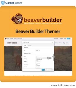 Beaver Builder Themer